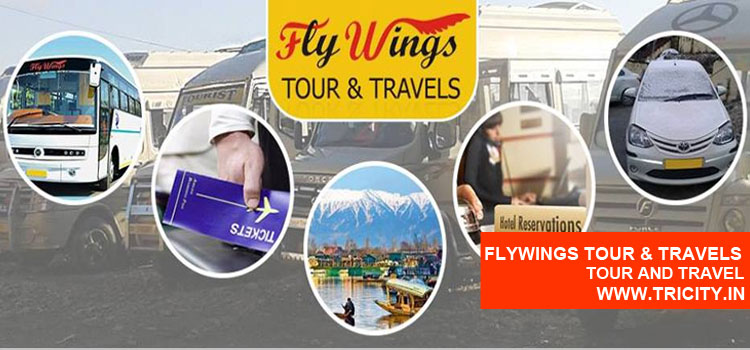 Flywings Tour & Travels