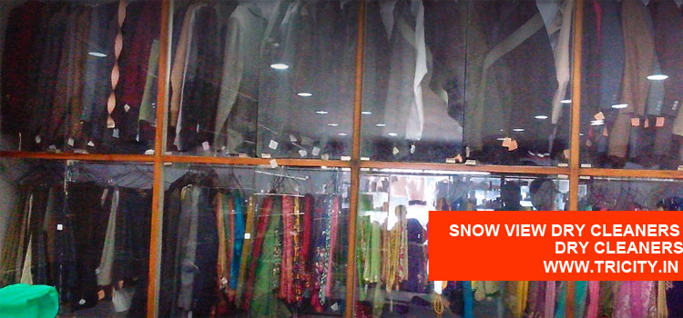 SNOW VIEW DRY CLEANERS