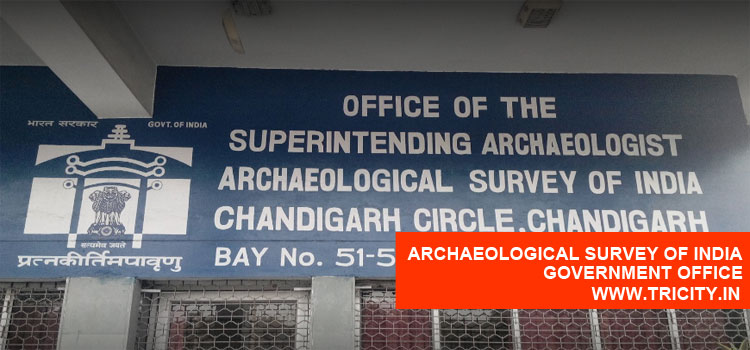 Archaeological Survey Of India