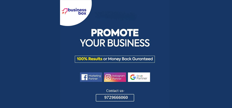 The Business Box - Best Digital Marketing Company in Chandigarh